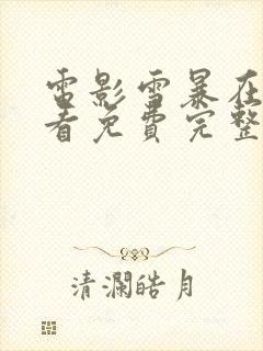 电影雪暴在线观看免费完整版