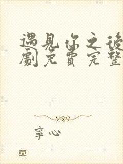 遇见你之后电视剧免费完整观看高清