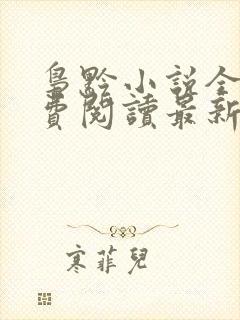 枭黔小说全文免费阅读最新章节