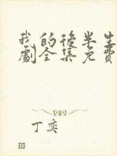 我的后半生电视剧全集免费看封面