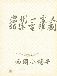 温州一家人1—36集电视剧免费观看封面