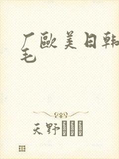厂欧美日韩一级毛