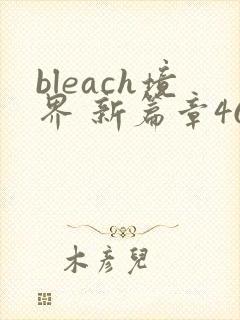 bleach境界 新篇章46集免费观看封面