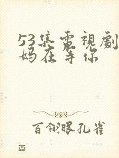 53集电视剧妈妈在等你
