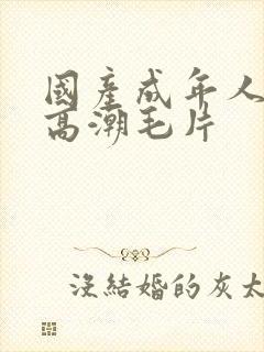 国产成年人午夜高潮毛片