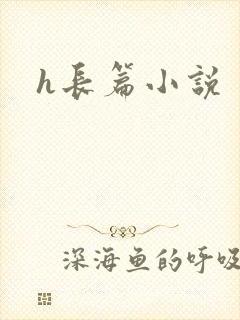 h长篇小说