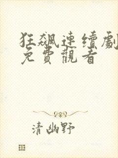 狂飙连续剧全集免费观看封面