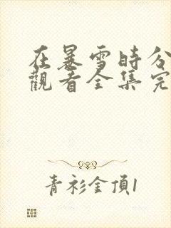 在暴雪时分免费观看全集完整版