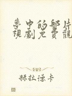 梦中的那片海电视剧免费观看全集