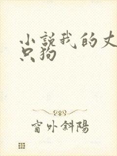 小说我的丈夫是只狗