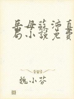 岳母苏沛真大结局小说免费阅读全文无弹窗