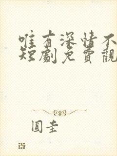 唯有深情不可负短剧免费观看