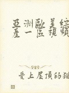 亚洲欧美综合国产一区视频