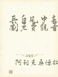 兵自风中来电视剧免费观看