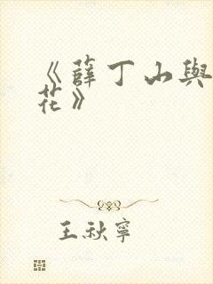 《薛丁山与樊梨花》封面