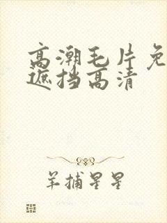 高潮毛片免费无遮挡高清