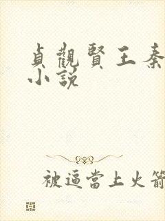 贞观贤王秦怀道小说封面