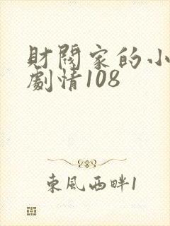 财阀家的小儿子剧情108