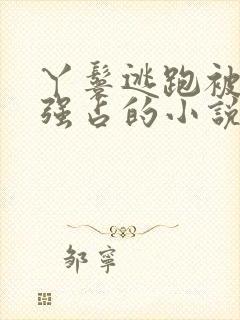 丫鬟逃跑被男主强占的小说