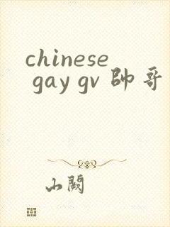 chinese gay gv 帅哥