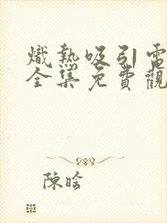 炽热吸引电视剧全集免费观看23集