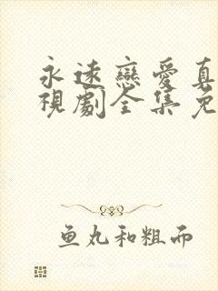 永远恋爱真美电视剧全集免费观看