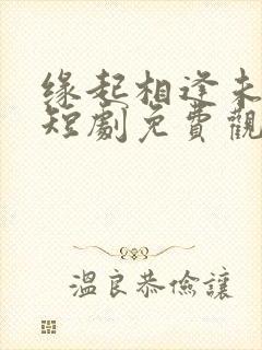 缘起相逢未识时短剧免费观看全集