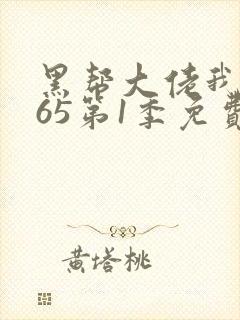 黑帮大佬我的365第1季免费观看