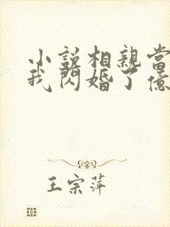 小说相亲当天,我闪婚了亿万富豪下载