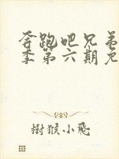 奔跑吧兄弟第三季第六期免费观看