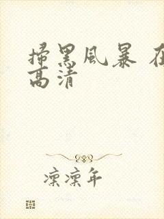 扫黑风暴 在线高清