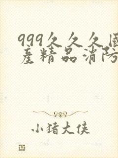 999久久久国产精品消防器材