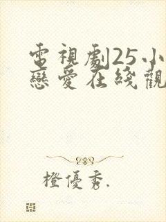 电视剧25小时恋爱在线观看免费全集