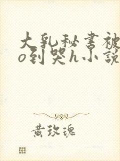 大乳秘书被cao到哭h小说