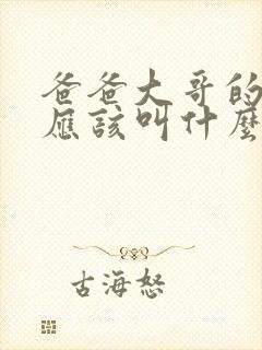 爸爸大哥的老婆应该叫什么