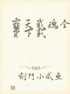 霸天武魂全本免费下载