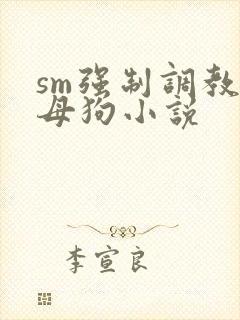 sm强制调教小母狗小说