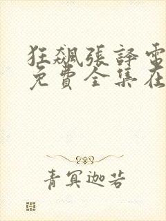 狂飙张译电视剧免费全集在线观看封面