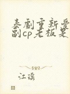 泰剧重新爱上你副cp老板是谁