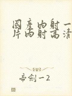 国产内射一级一片内射高清视频1