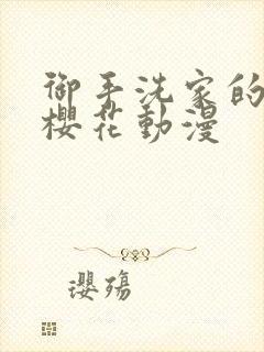 御手洗家的银事樱花动漫