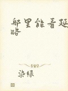 哪里能看延禧攻略