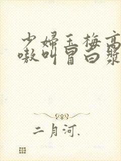 少妇玉梅高潮嗷嗷叫冒白浆