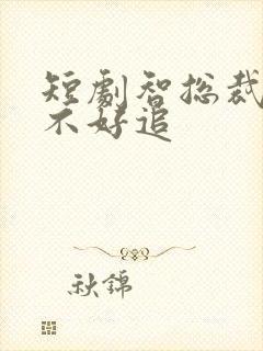 短剧智总裁夫人不好追封面