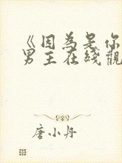 《因为是你》双男主在线观看全集