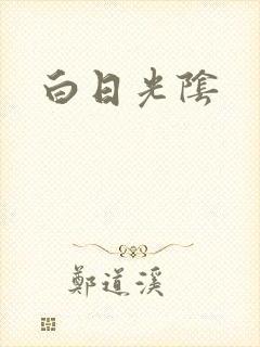 白日光阴封面