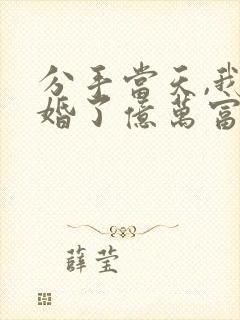 分手当天,我闪婚了亿万富豪 小说下载txt