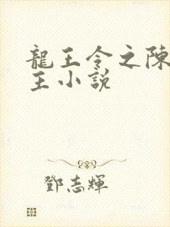 龙王令之陈平殿主小说