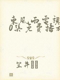 东风雨电视剧40集免费播放在线观看封面