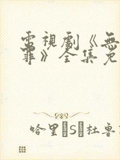 电视剧《无证之罪》全集免费观看